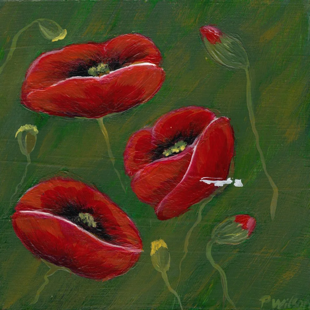 539. "Family of Poppies" Patsy Wilson