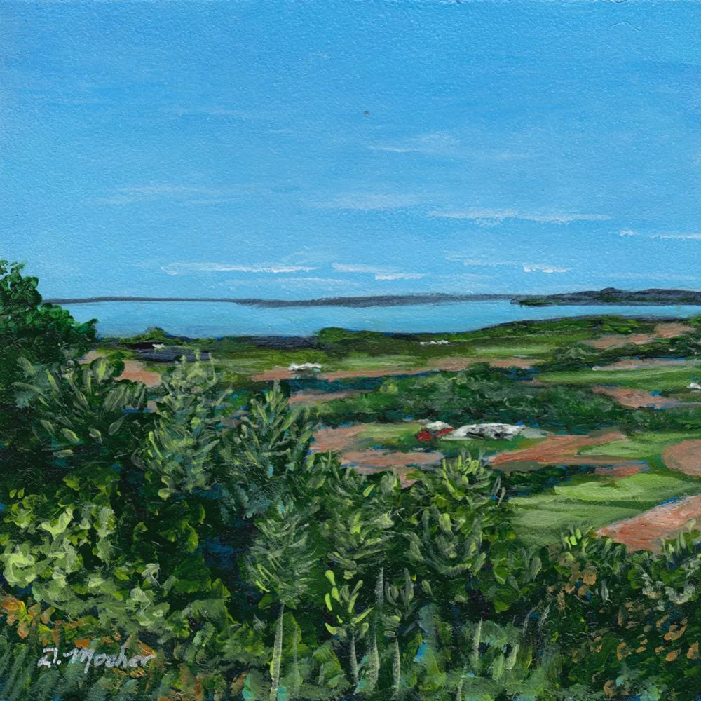 717. "The Lookoff - Nova Scotia" Debbie Mosher