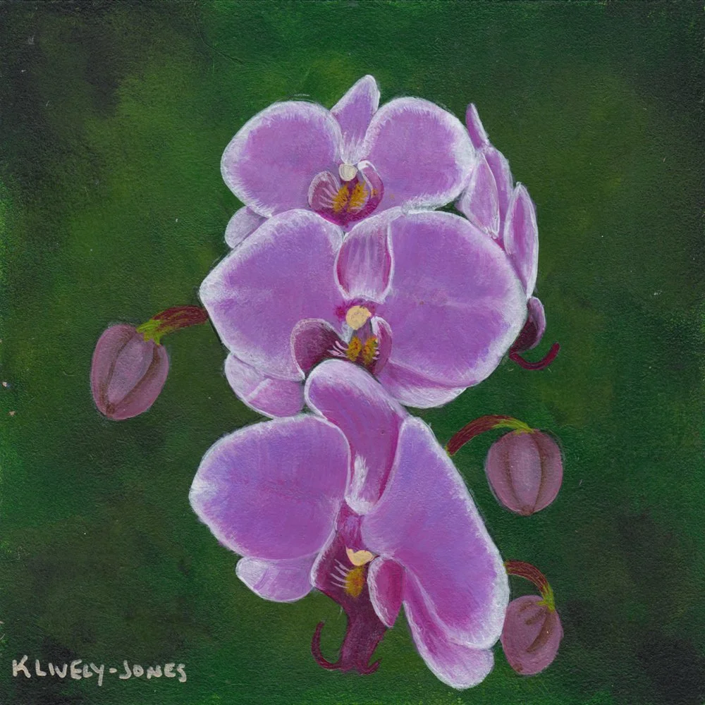 830. "Nancy's Orchid" Kelly Lively-Jones