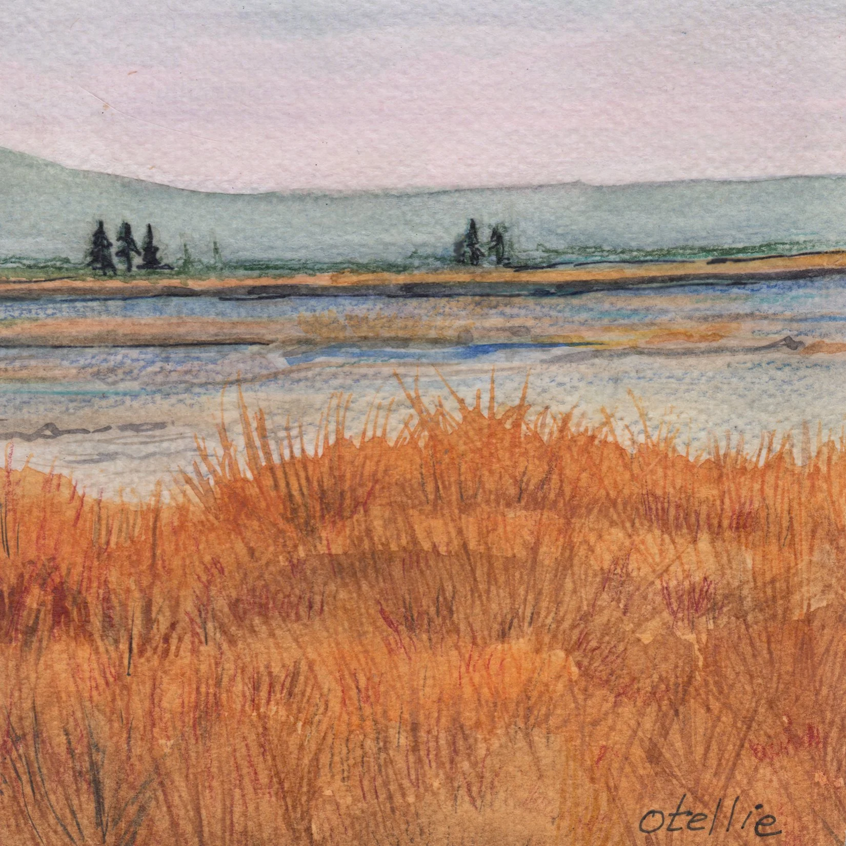 191. "Marsh #2" Tilly Pacheco