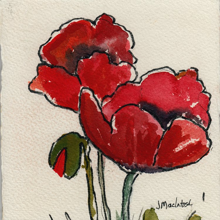 497 - "Poppies" - Judy MacIntosh