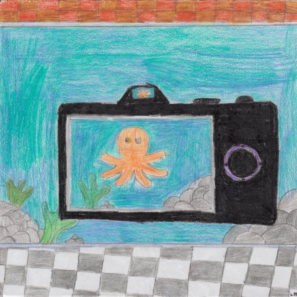 950. "Marcellus Through the Camera" Lucy Hines