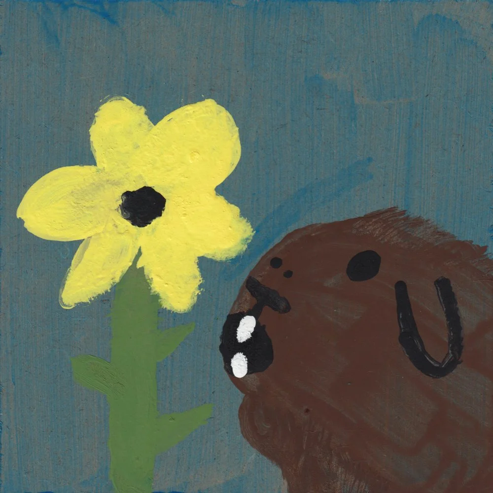1055. "Guinea Pig Eating Flower"	Anonymous