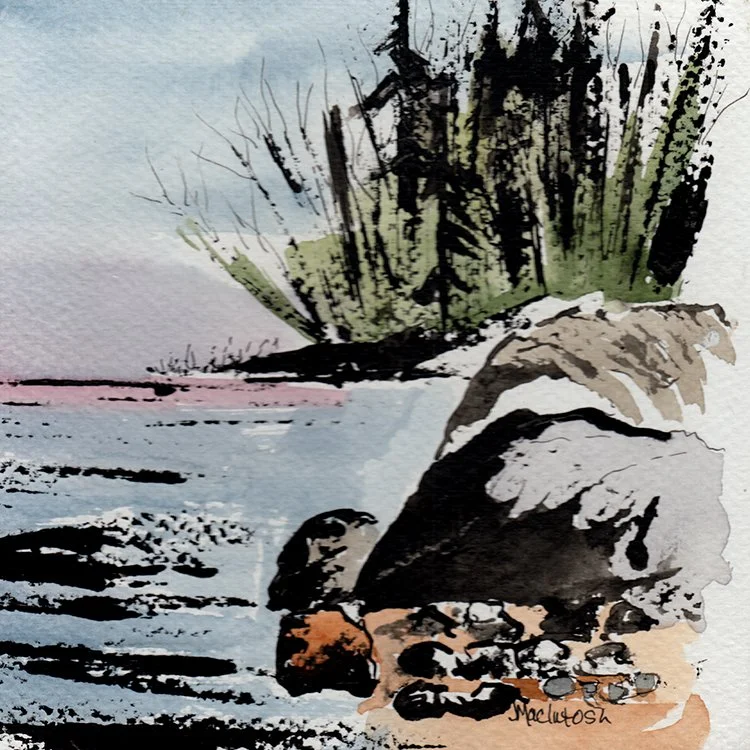 491 - "At the Edge" - Judy MacIntosh
