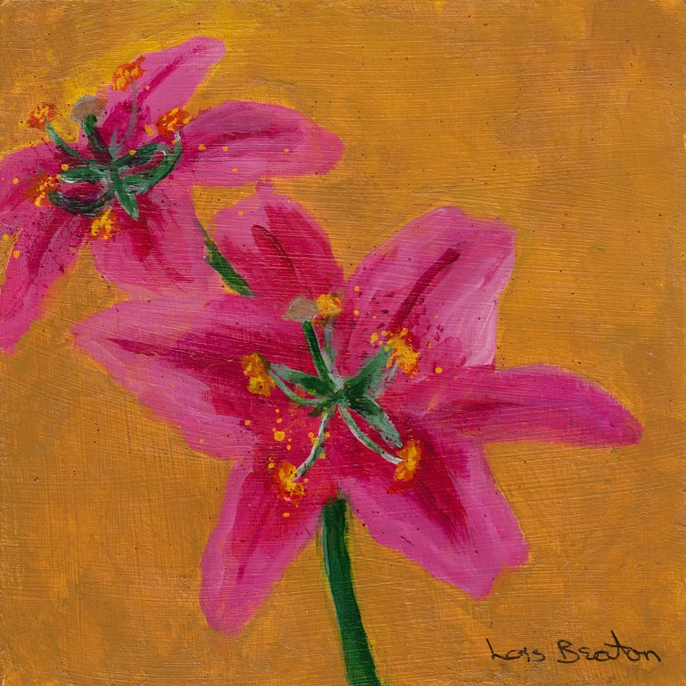 1191. "Unabashed" Lois Beaton