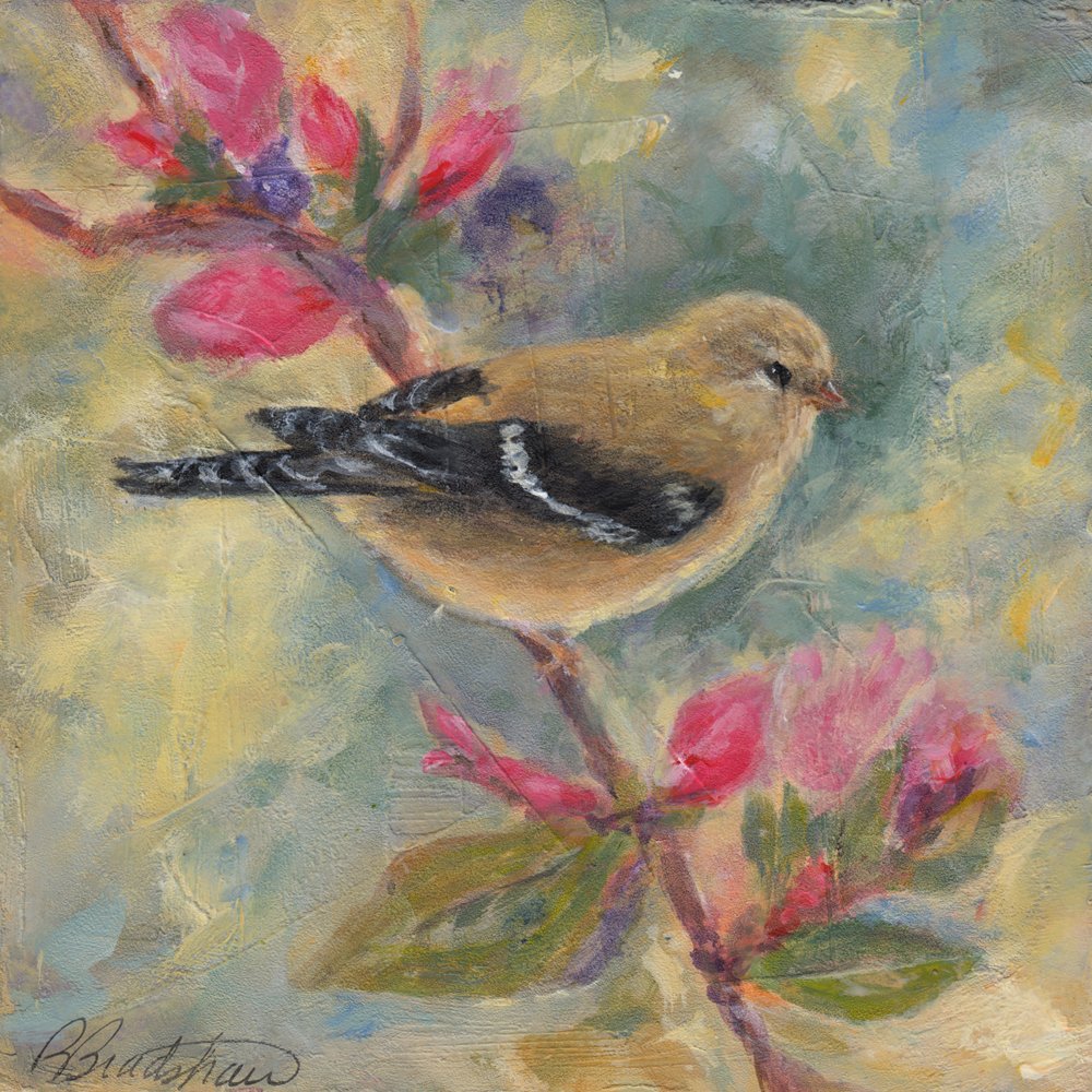 1113. "Grateful for 'Nature'"	Robin Bradshaw