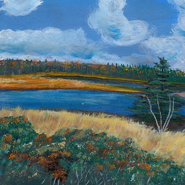 537 - "Fall on a NS Salt March" - Sandra Preeper