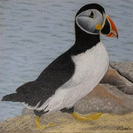 193 - "Pete the Puffin" - Richard Mulroy