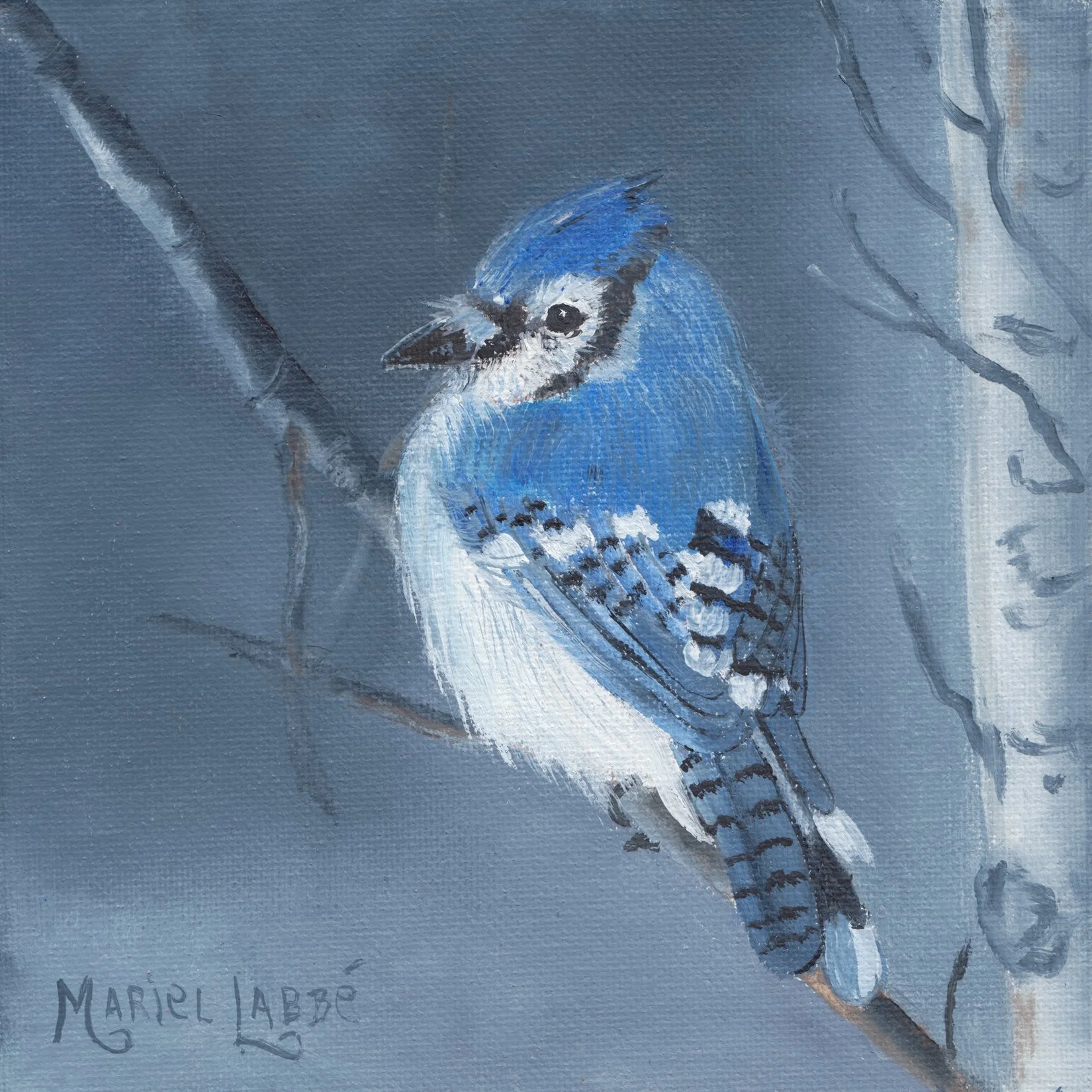 3. "Geai Bleu" Marielle Labbé
