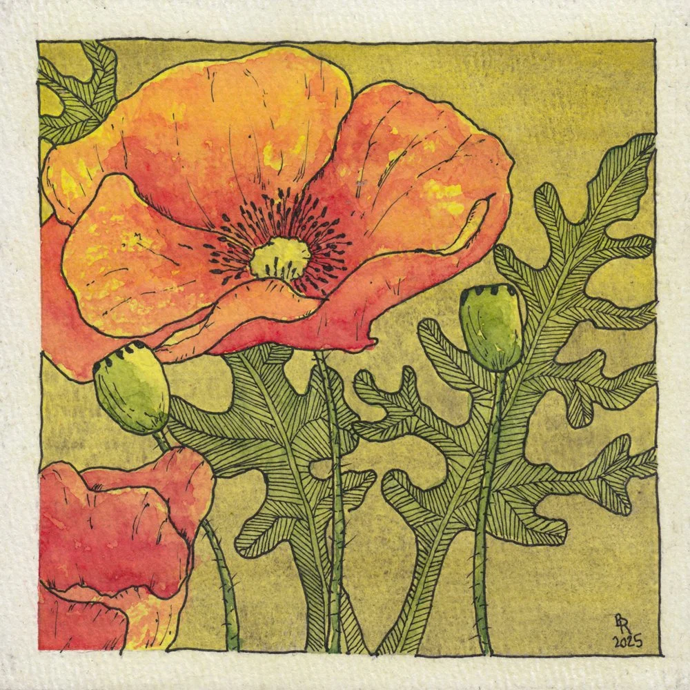 1064. "Orange Poppy"	Bob Richards