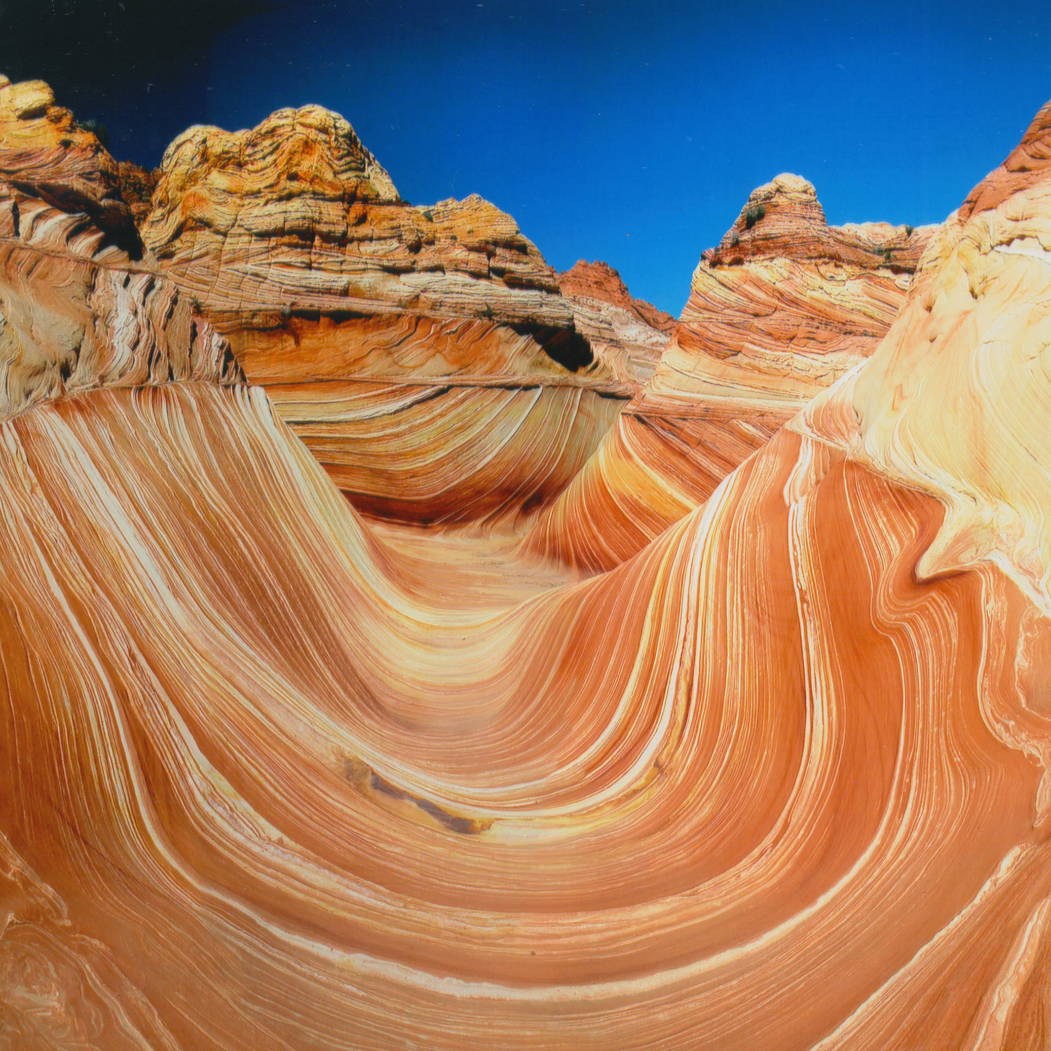 480. "The Waves Rock Formation" Bob Semple