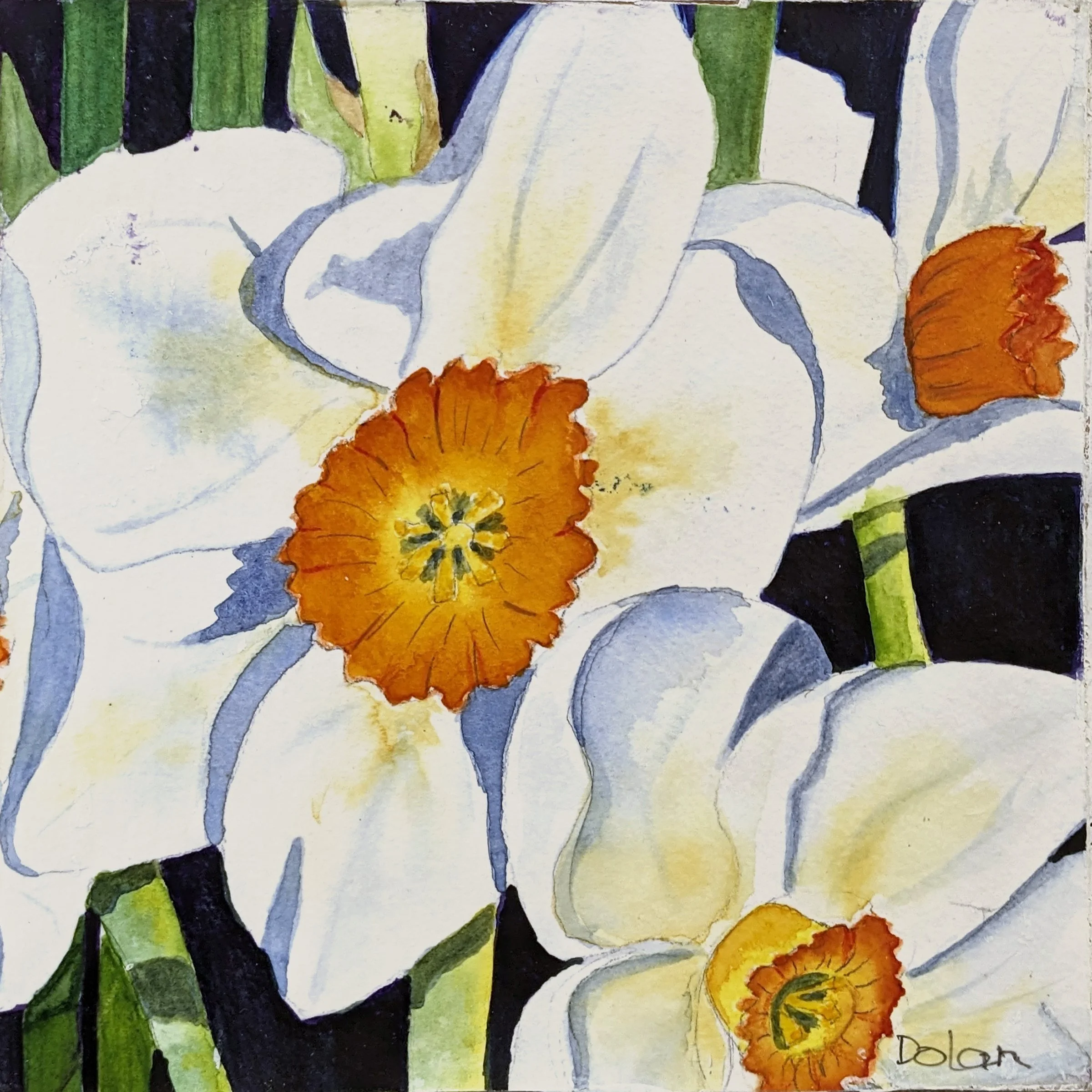 537. "Daffodils" Donna Dolan
