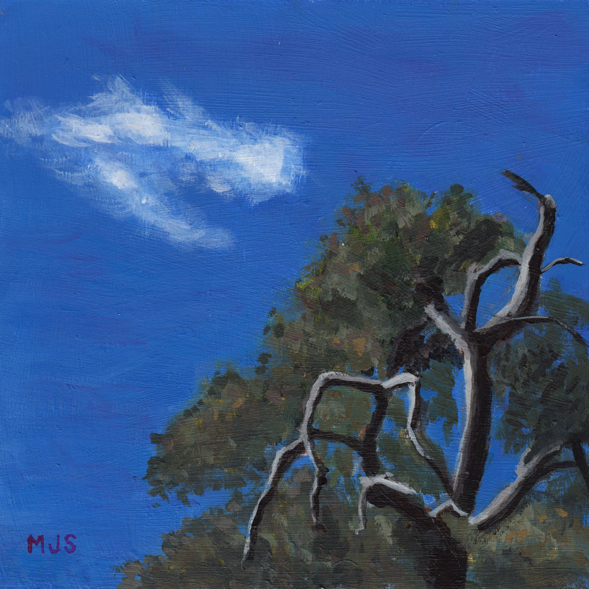 540. "Interaction" Malcolm Smith