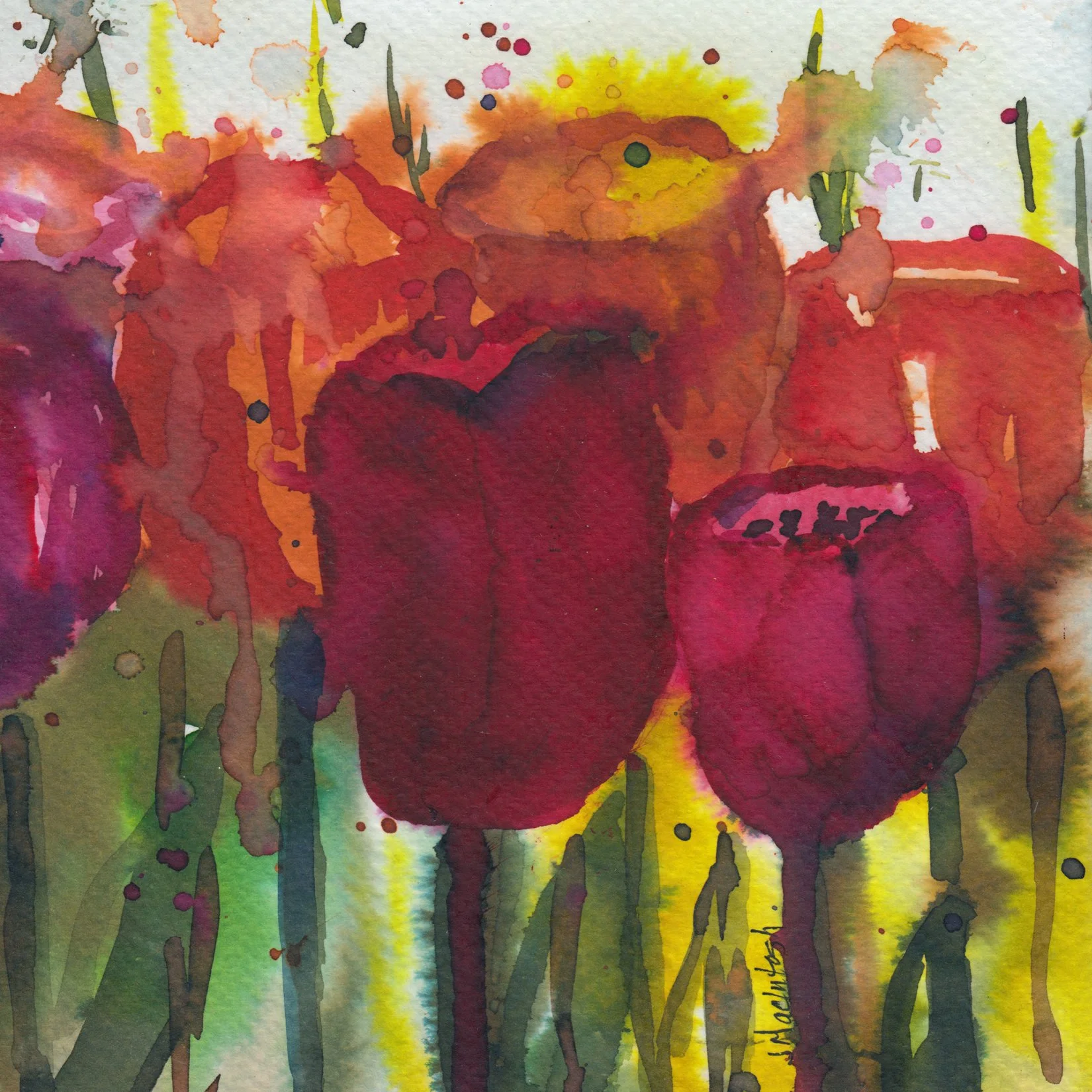 164. "Red tulips" Judy MacIntosh