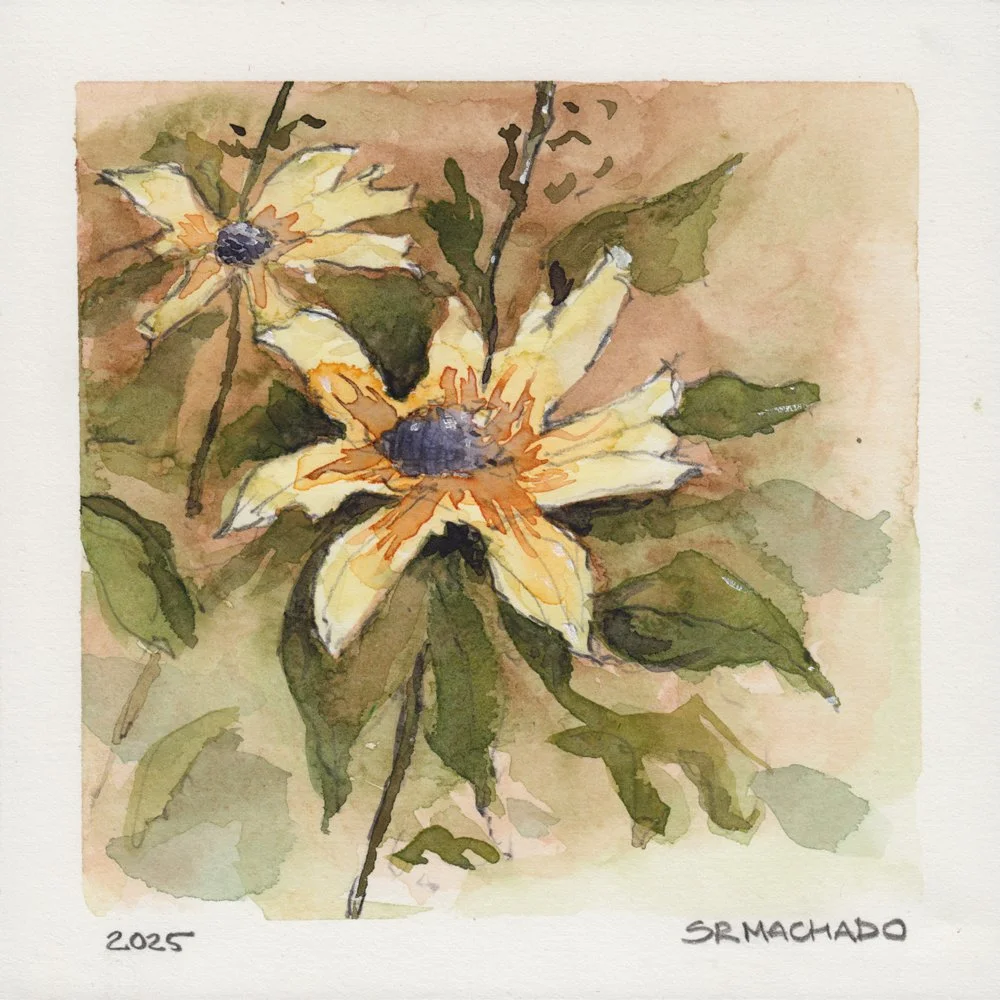 1205. "Gerbera II" Samantha Rodriguez