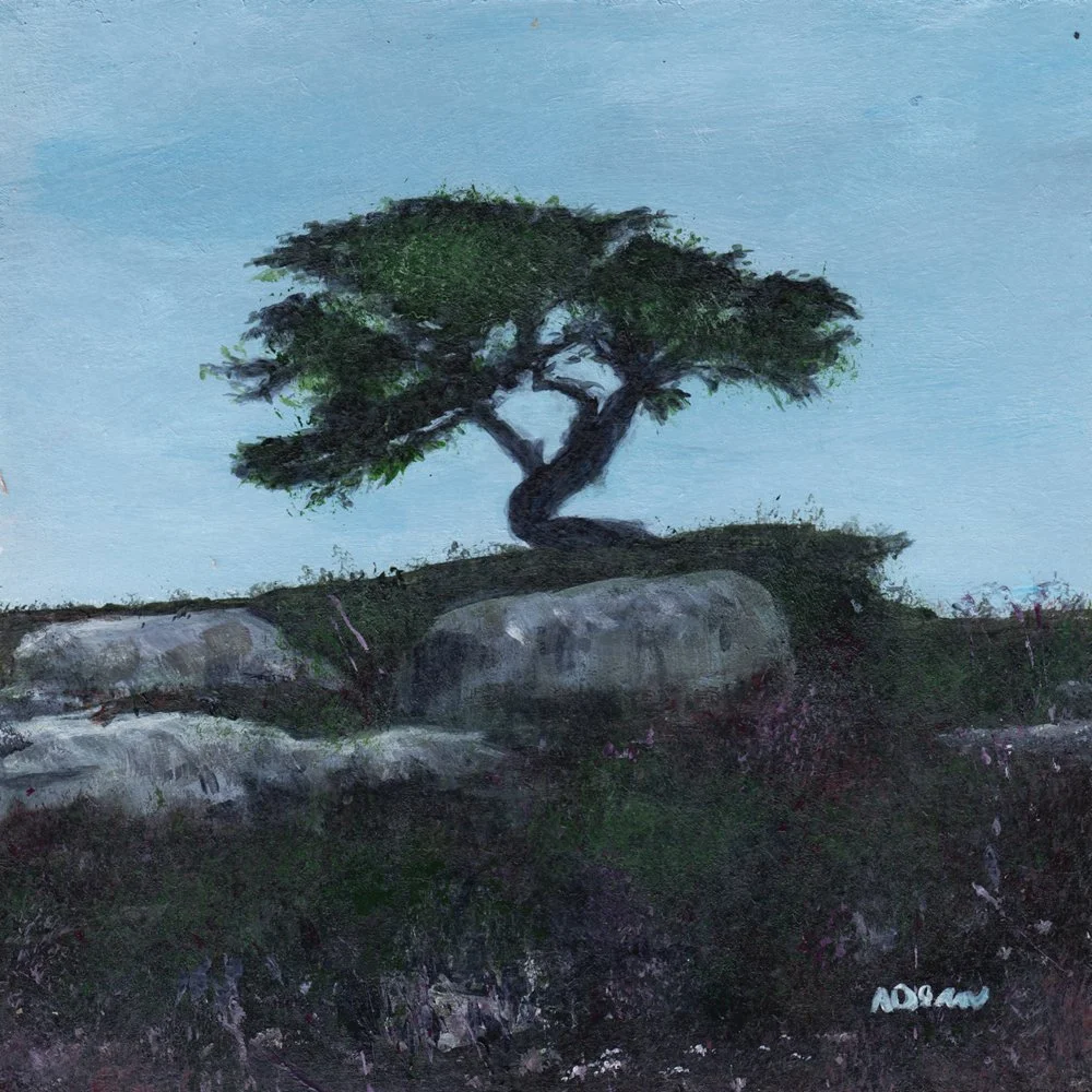 448. "Prospect Tree" Alice Dean
