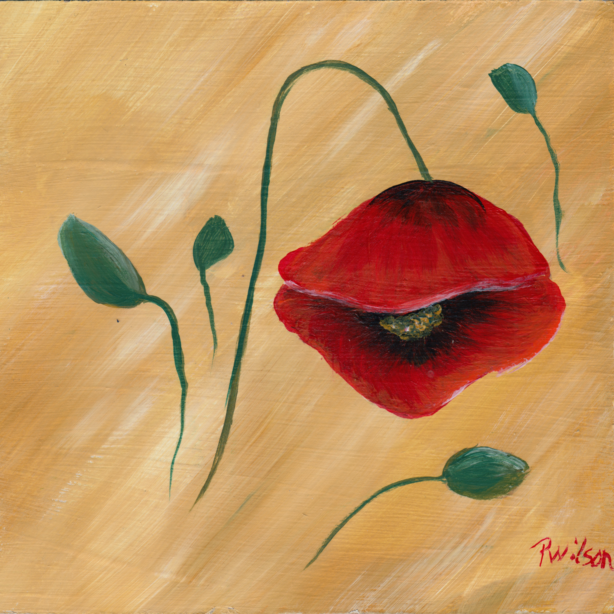 538. "Respect (Poppy)" Patsy Wilson