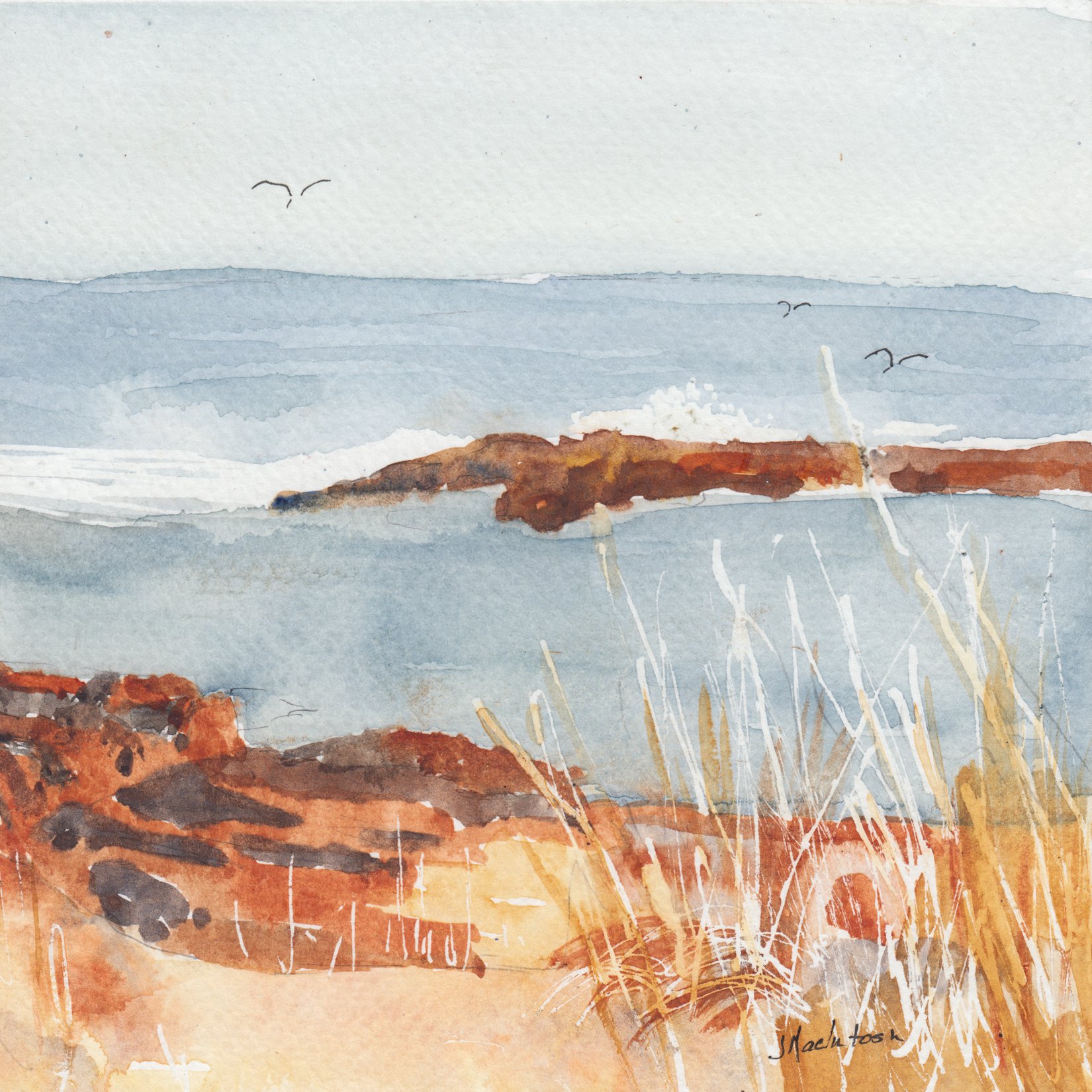 172. "At the Shore" Judy MacIntosh
