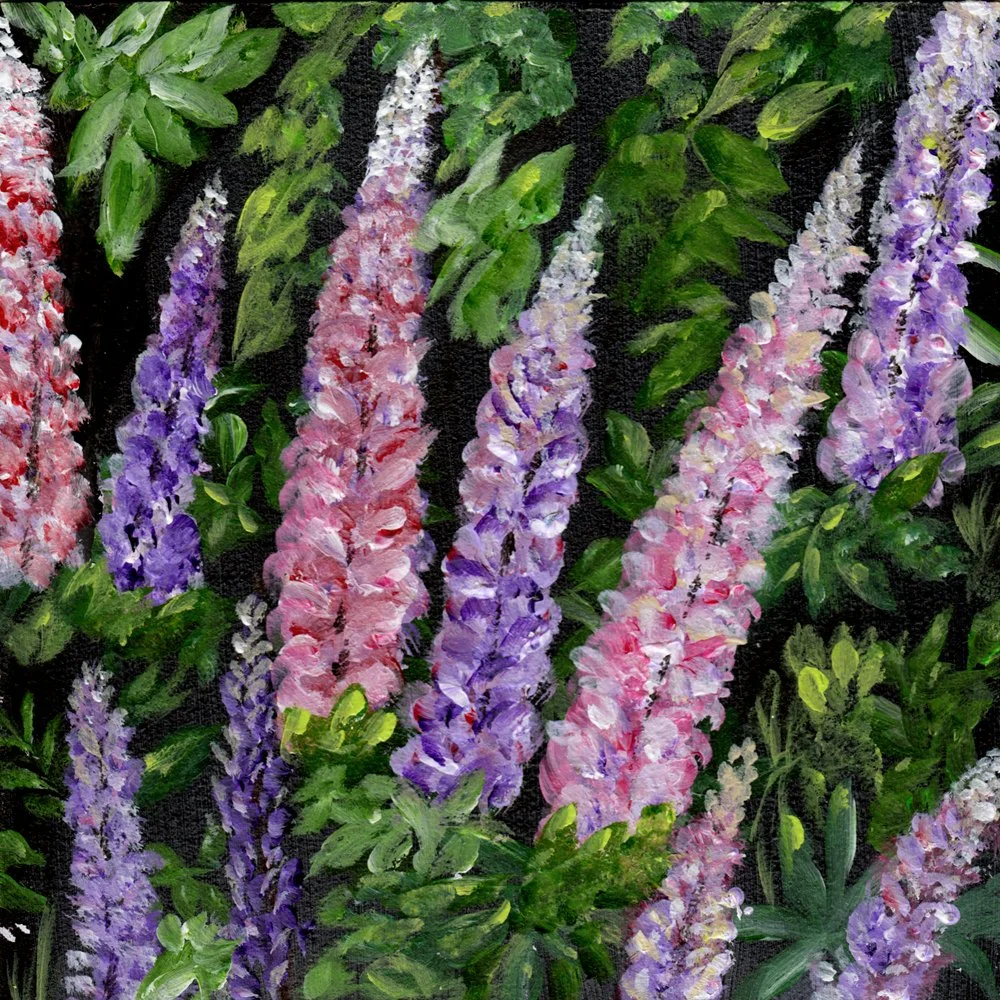 757. "NS Lupins" Heather Belliveau