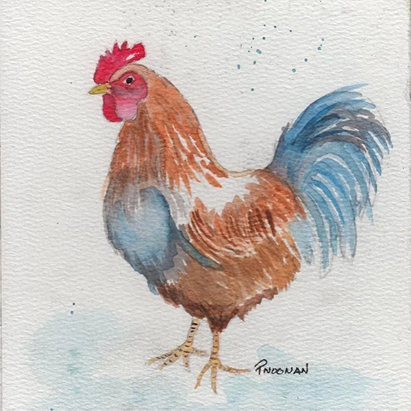 401 - "Barnyard Buddy" - Pat Noonan