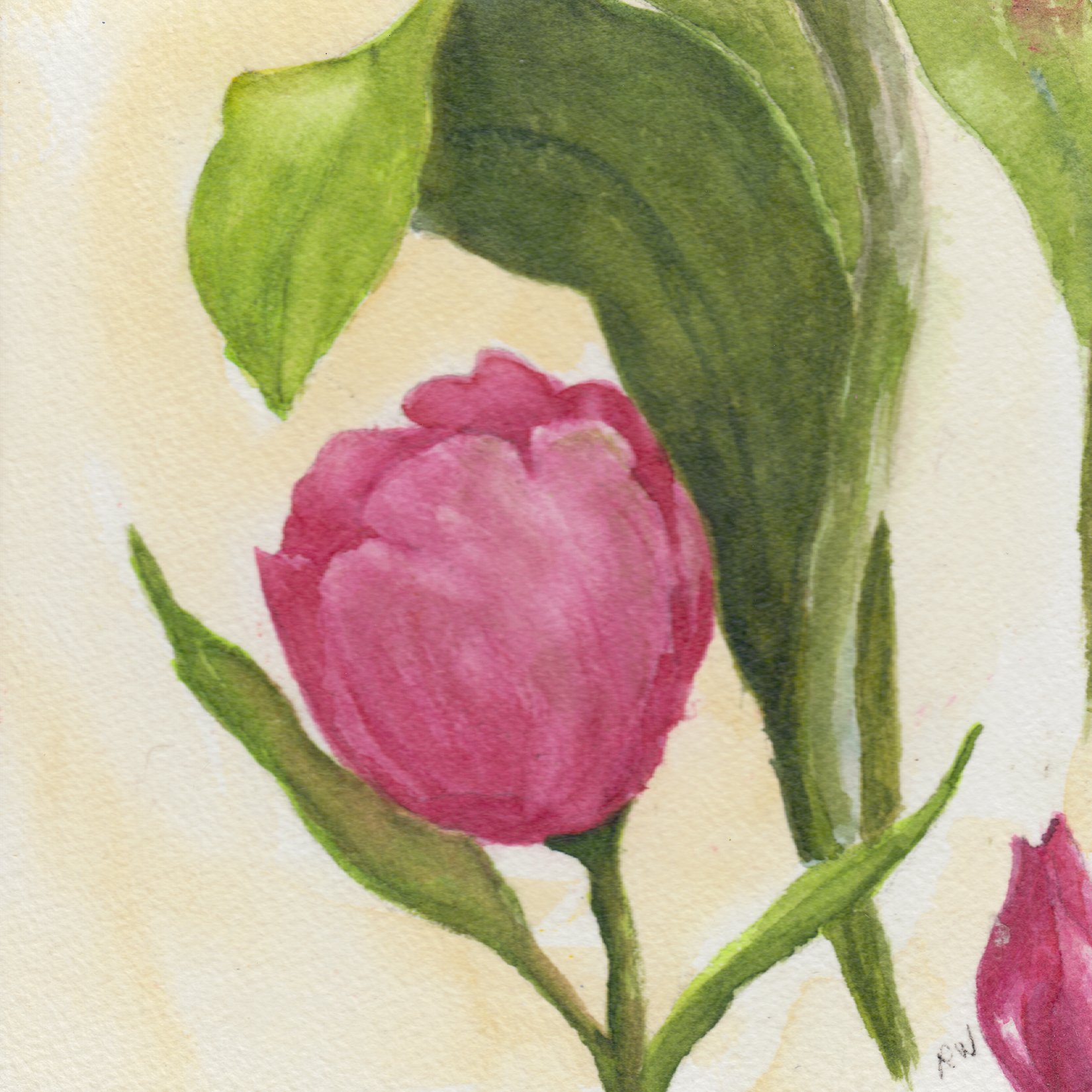 19. "Spring is Coming" Rena Waters