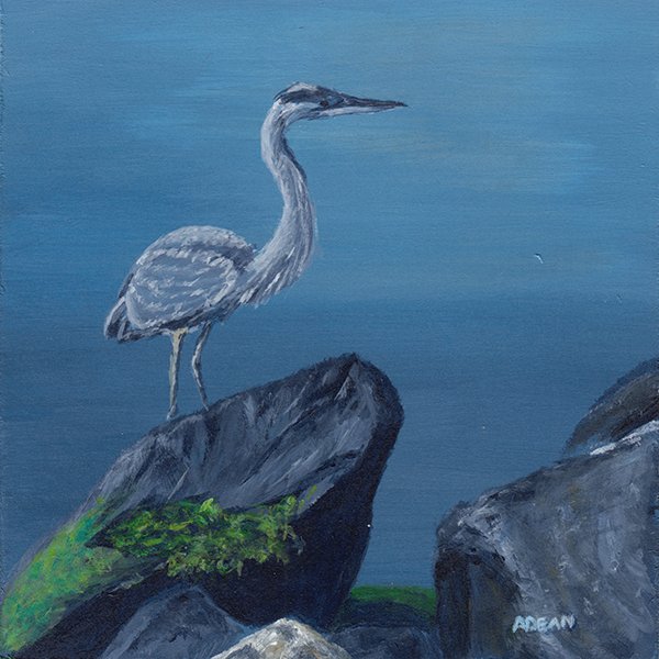429 - "Bedford Basin, Blue Heron" - Alice Dean