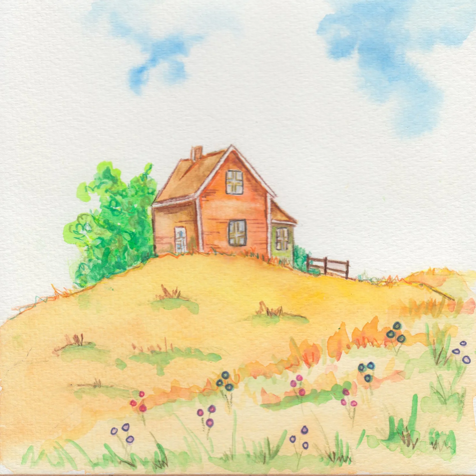 63. "Home" Lynn McDonald