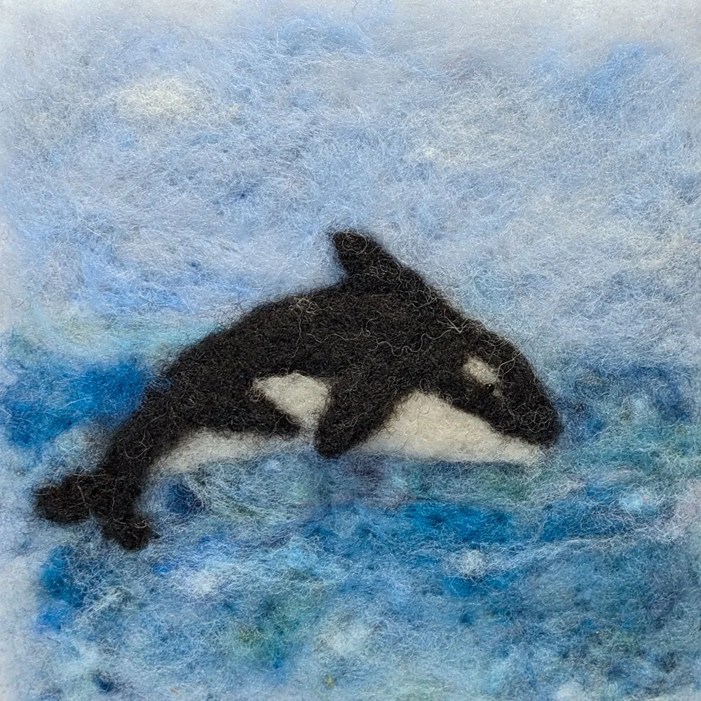 1134. "Orca 2"	Meridy Thomson