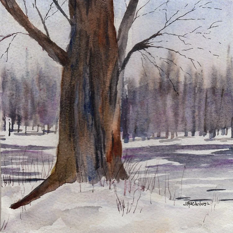 489 - "In the Dead of Winter" - Judy MacIntosh