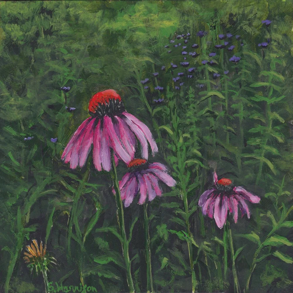 410. "Everyday Delights" Sandra Harrison
