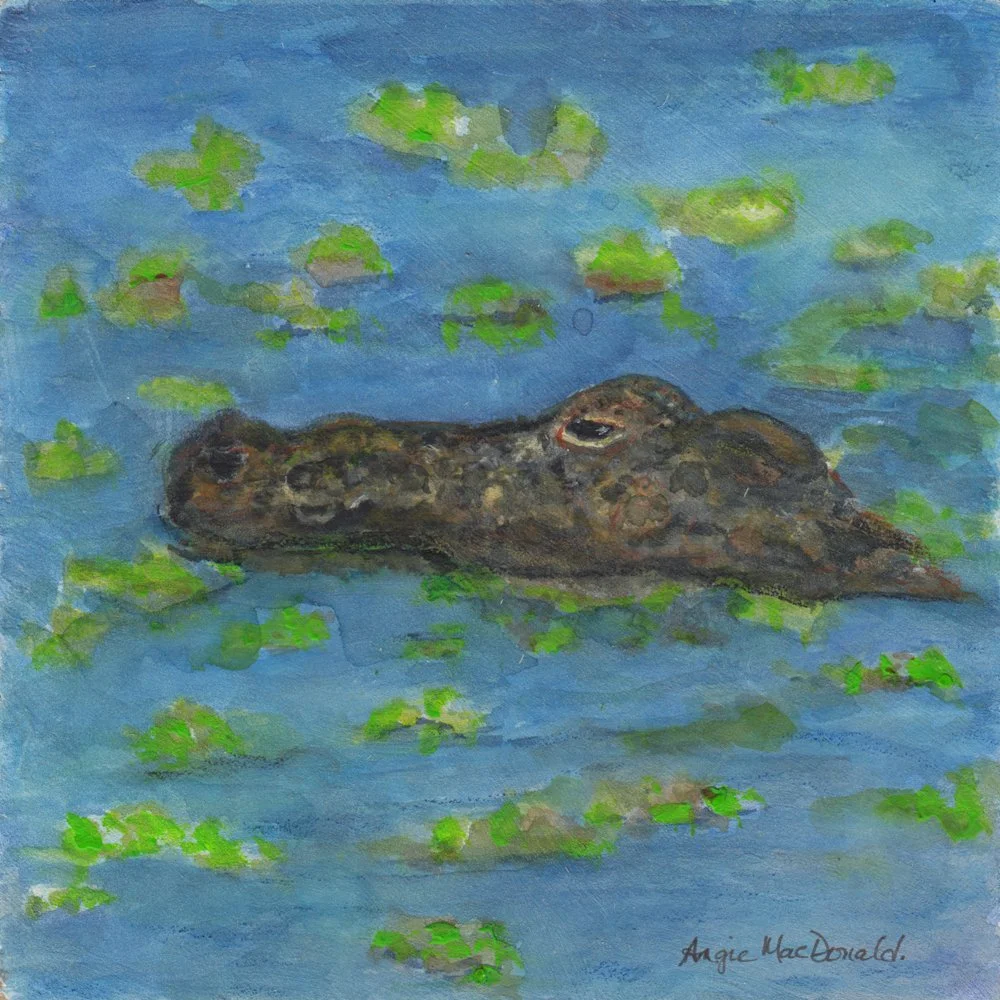 1162. "Lilly Pad & Friend"	Angela Lynn MacDonald