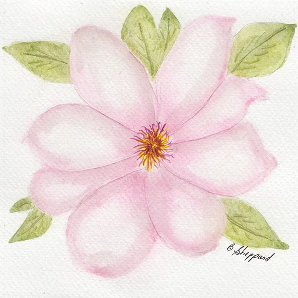 549 - "Magnolia 2026" - Bonnie Sheppard