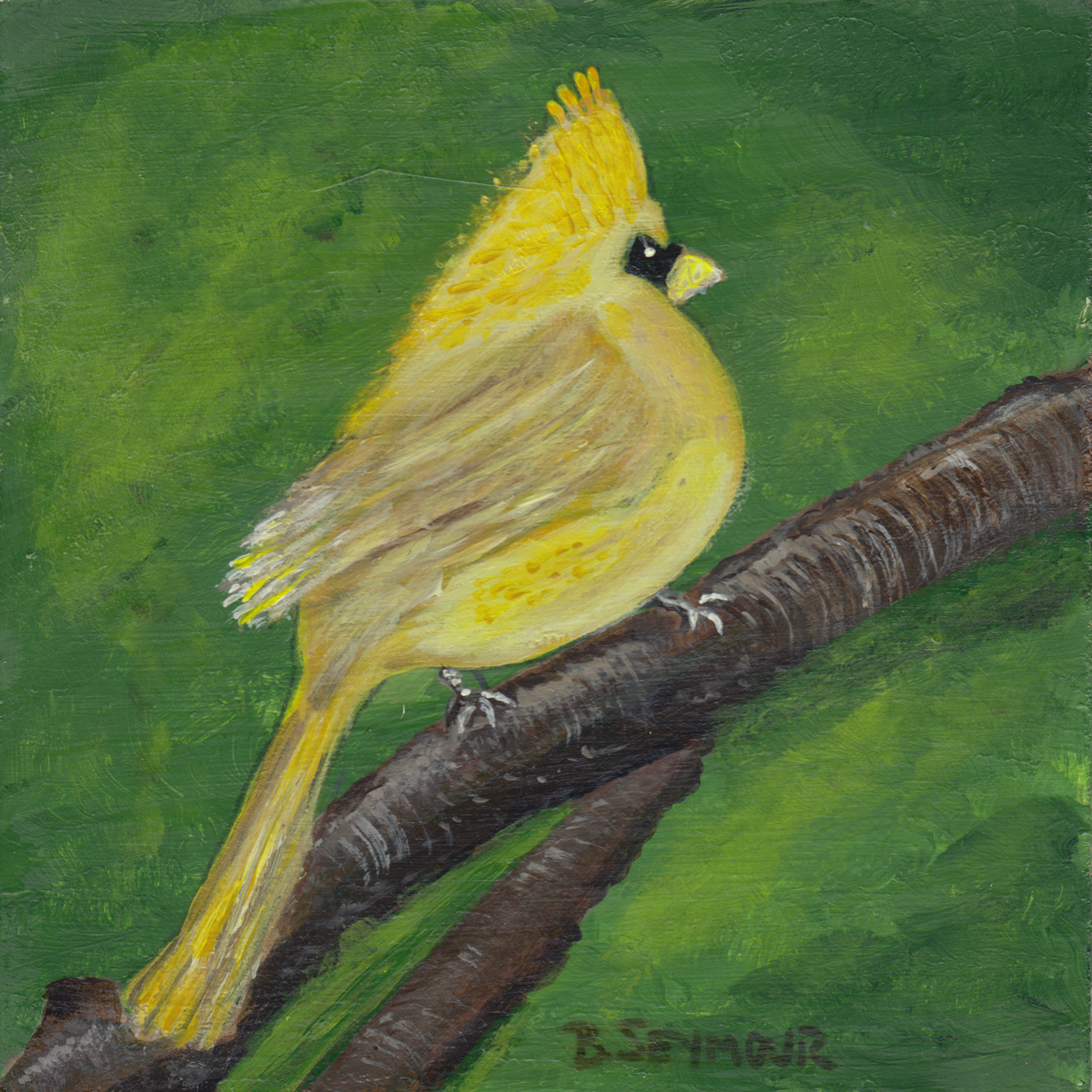 437. "Yellow Bird" Brenda Seymour