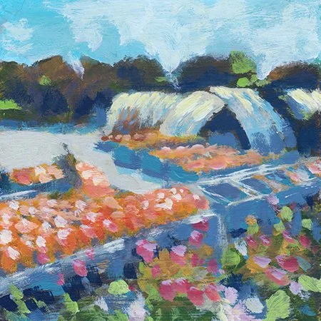 1 - "Pumpkins at Mabou Gardens" - Matthew Mongraw