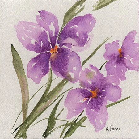 92 - "Petals Don't Apologize" - Rachel Forbes