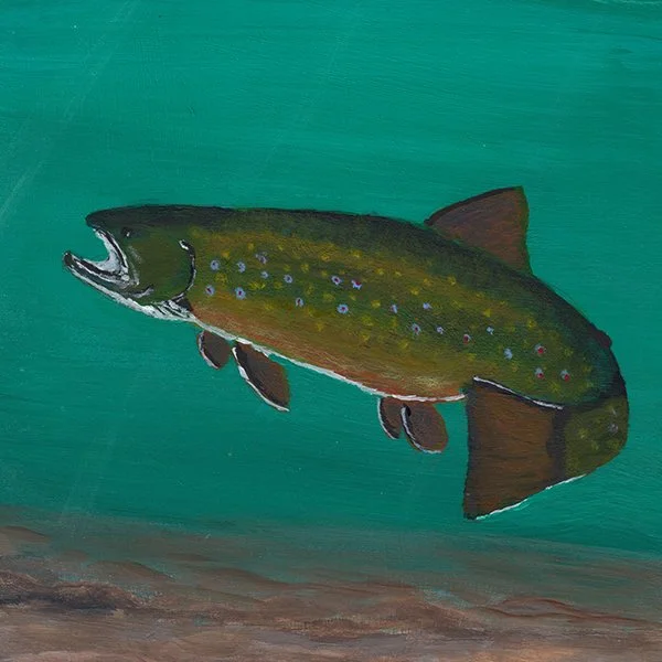 565 - "Brook Trout" - Wayne Brittain
