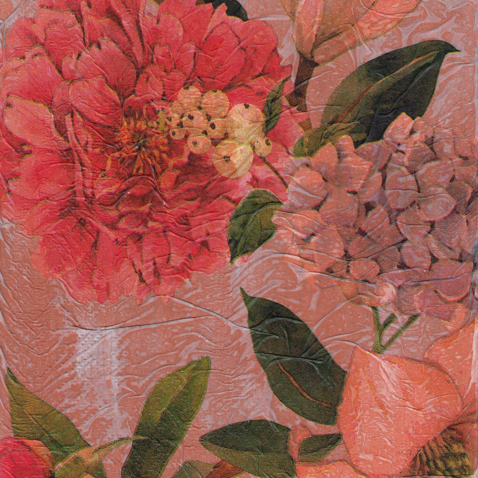 239. "Untitled" June Jollymore