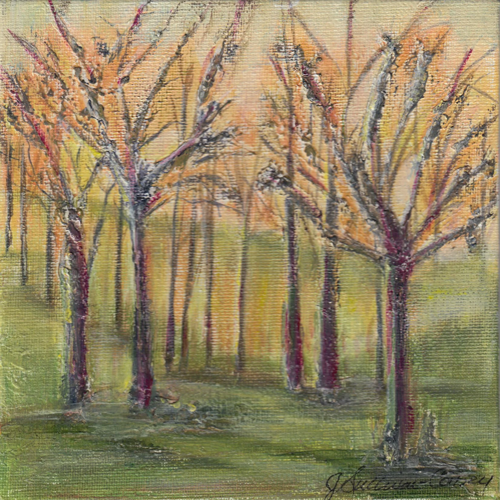 134. "Sunkissed Trees" Judith Sullivan-Corney