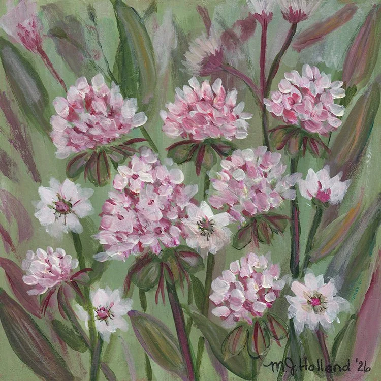 473 - "Pink + White Field" - Marlene J. Holland