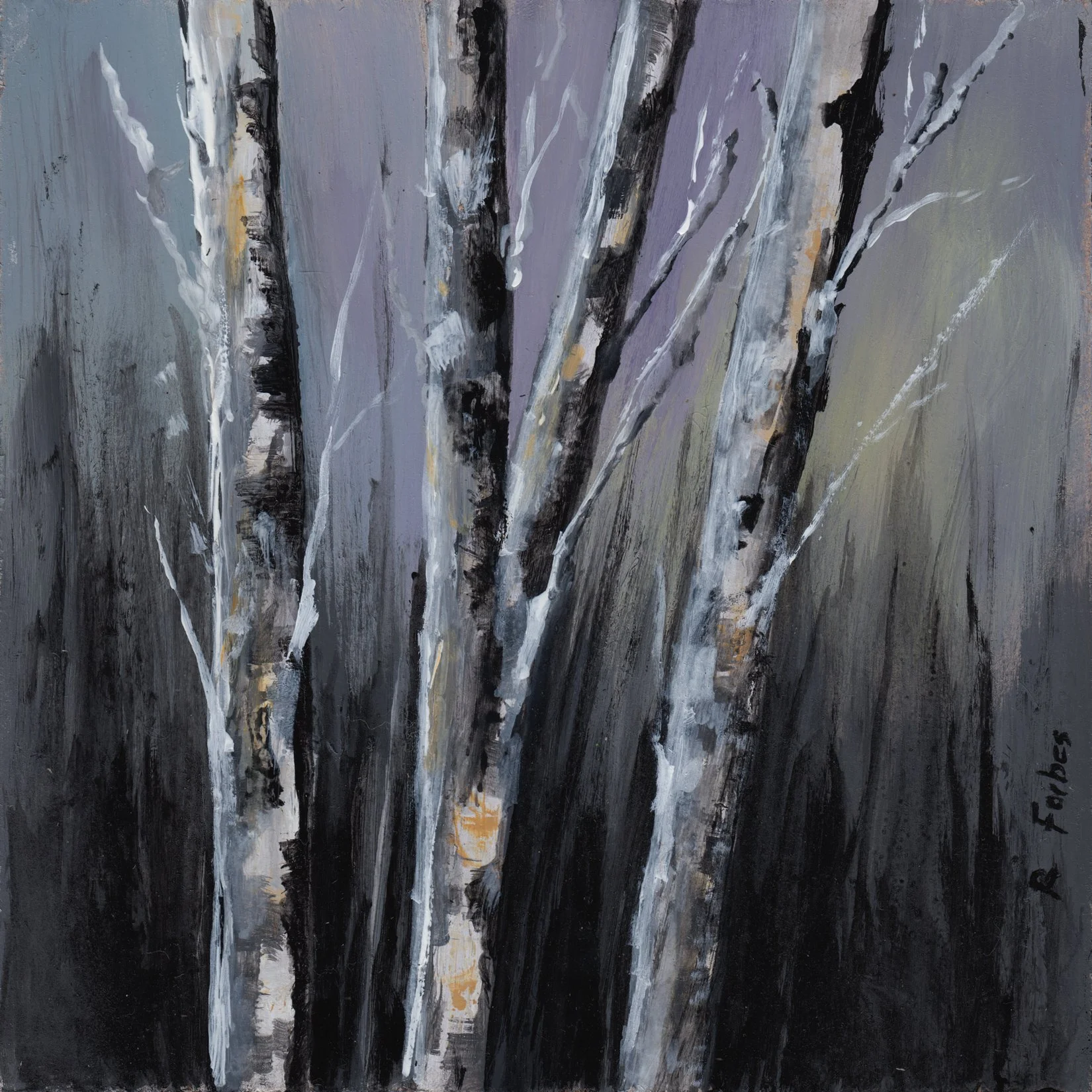 209. "Birch Trees" Rachel Forbes