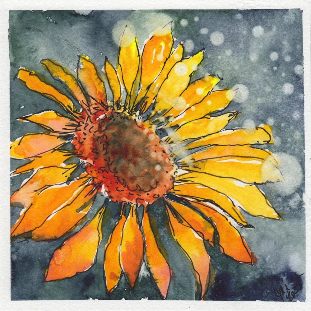 845. "Sunflower in the Rain"	Lynn Roger