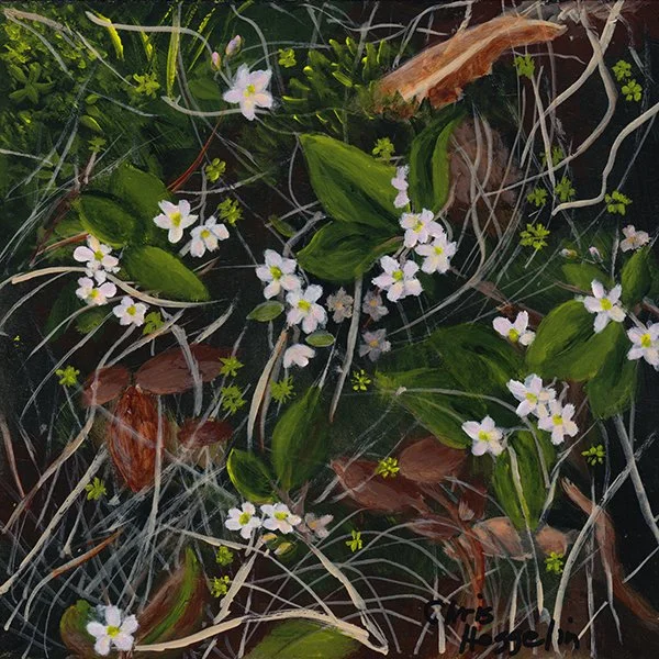 204 - "Mayflowers" - Christine Heggelin