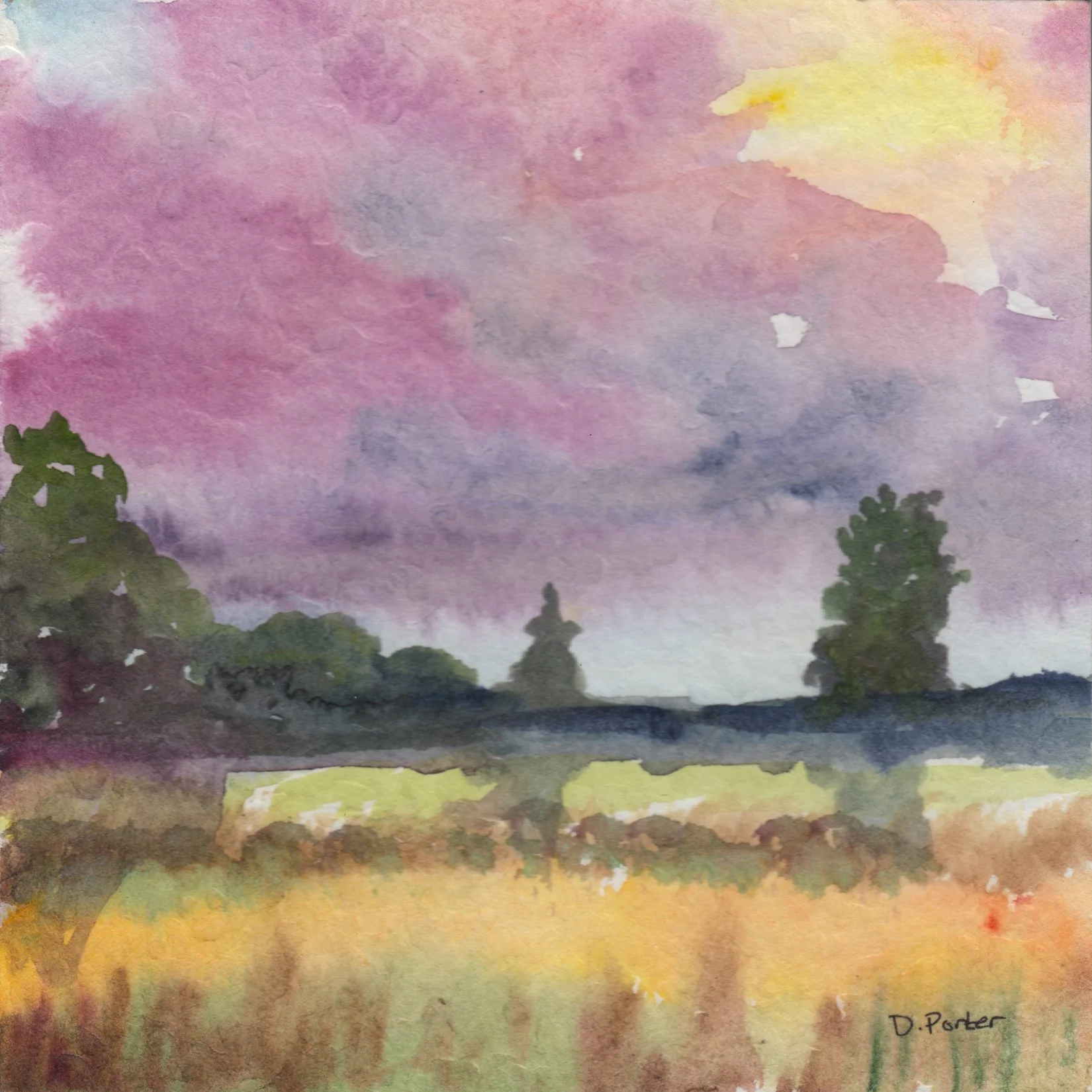 162. "Pink Sky" Diane Porter