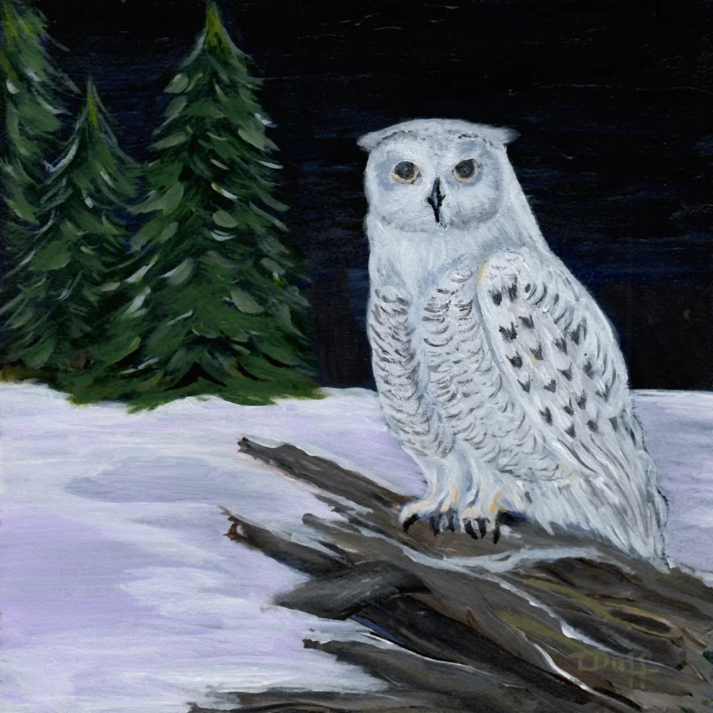 805. "Grateful for Winter Wildlife Wonders" Trish Duff