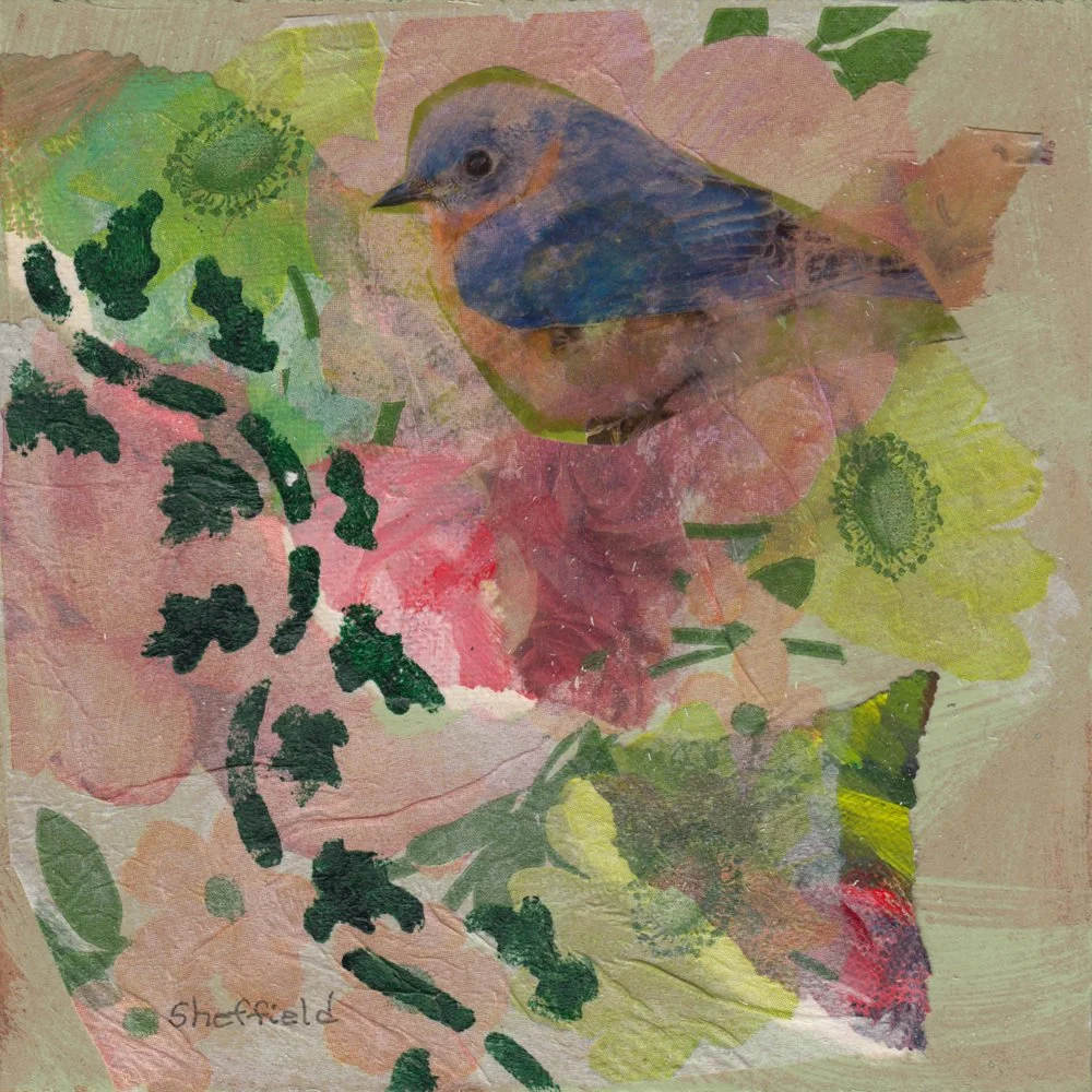 607. "Pretty Little Bluebird" Sara Sheffield