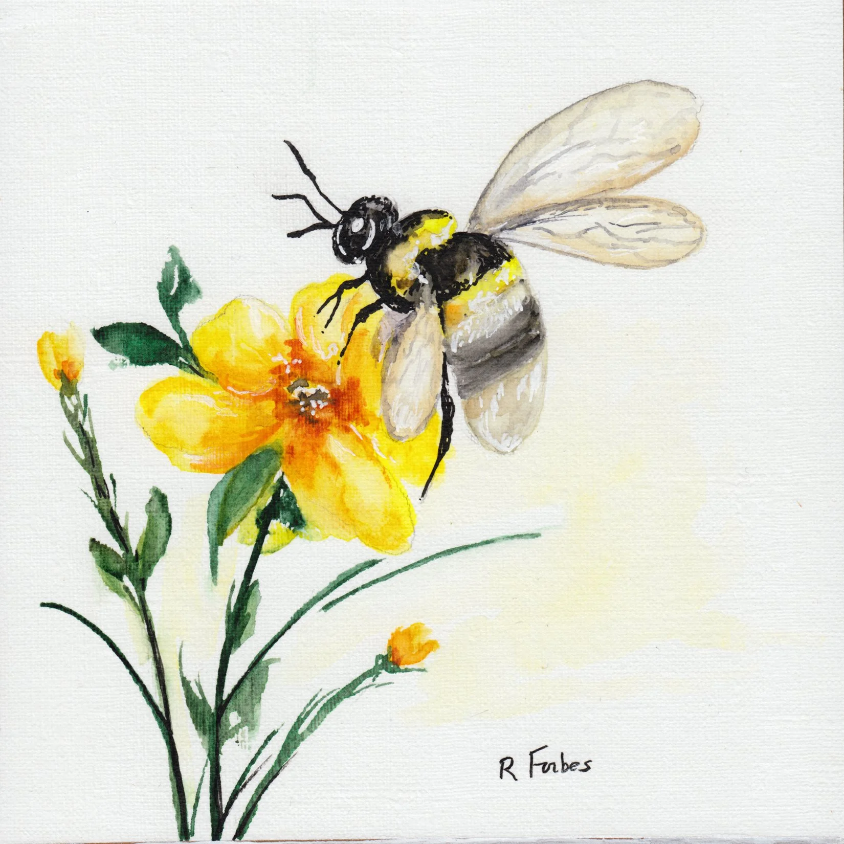 281. "Working Bee" Rachel Forbes