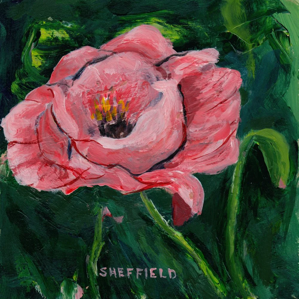 611. "Pretty in Peach" Sara Sheffield