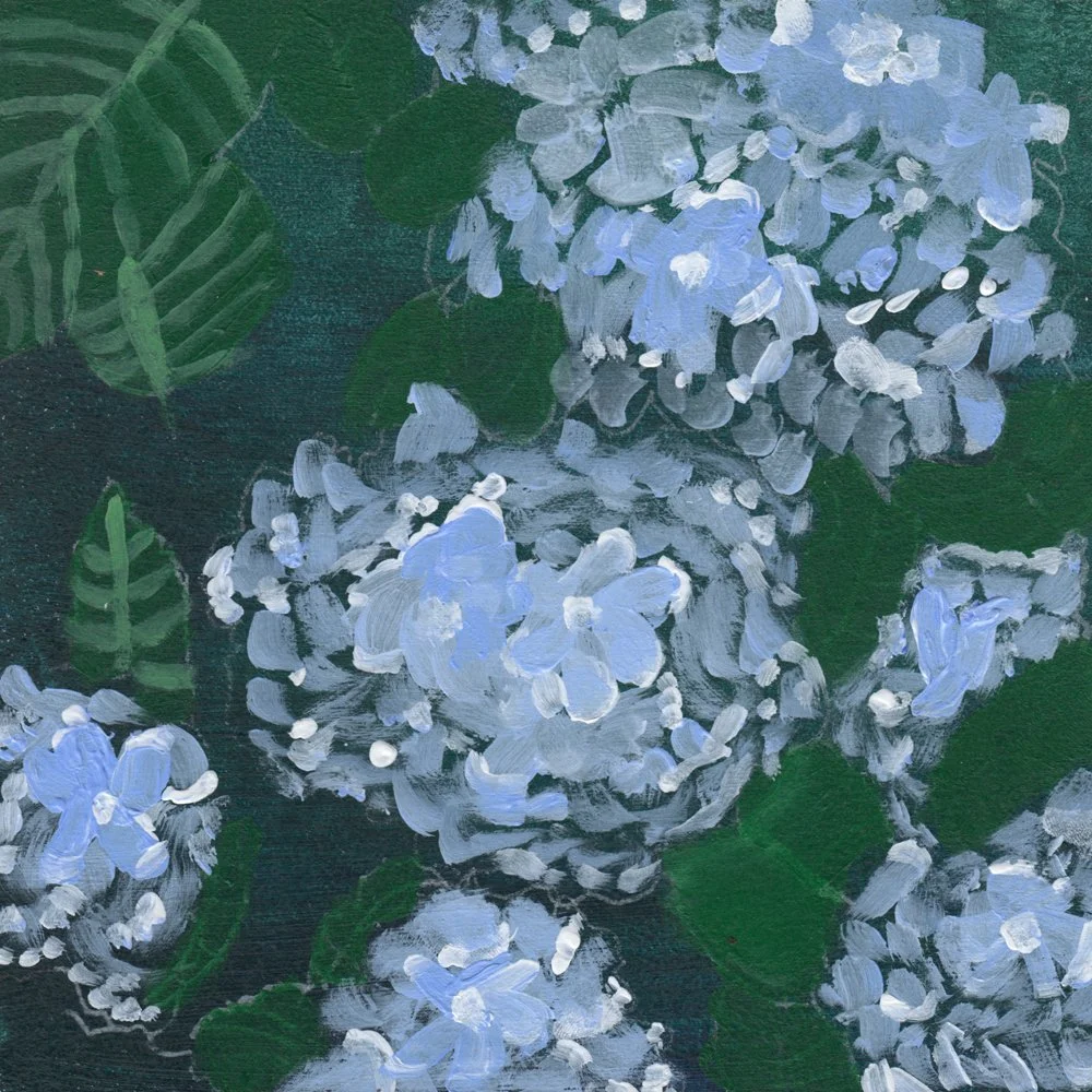 857.	 "My Mom's Hydrangea"	Isla Faye Machean