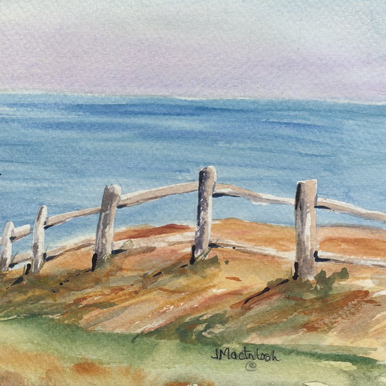 488 - "Overlooking the Cliff" - Judy MacIntosh