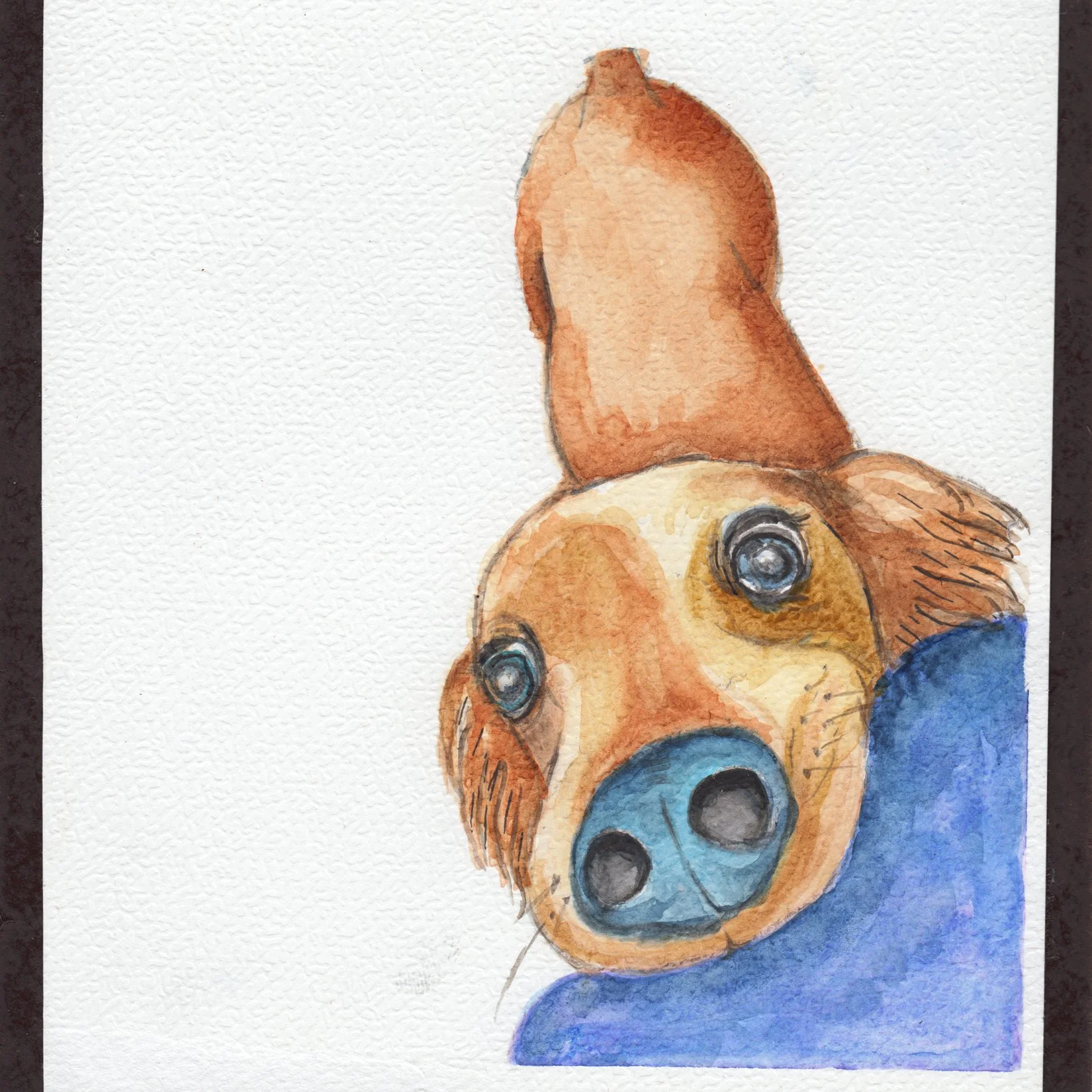 67. "I See You… Do You See Me?" Lynn McDonald